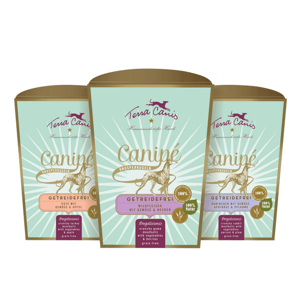 Terra Canis GRAIN-FREE CANIPÉ: Crispy Balls Dog Treats