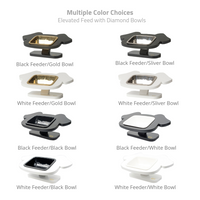 ViviPet Pawsome Elevated Dog Feeder