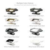 ViviPet Pawsome Elevated Dog Feeder