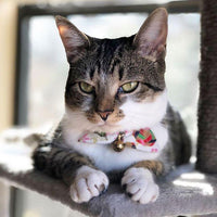 Necoichi Oribon Kimono Bow Tie Cat Collar