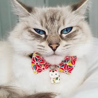 Necoichi Lucky Cat Charm Bow Tie Cat Collar