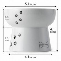 Necoichi Raised Dog Water Bowl