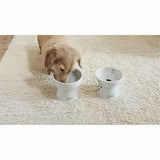 Necoichi Raised Dog Water Bowl
