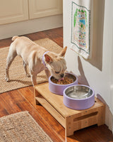 Wild One Dog Bowl
