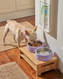 Wild One Dog Bowl