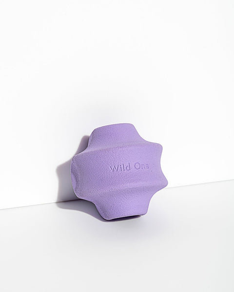 Wild One Dog Toy Twist Toss