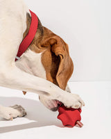 Wild One Dog Toy Twist Toss
