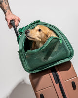 Wild One Travel Carrier