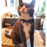 Necoichi ZEN Hariko Charm Cat Collar