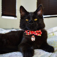 Necoichi ZEN Hariko Charm Cat Collar