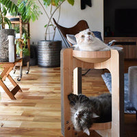 Necoichi Cozy Cat Scratcher Tower