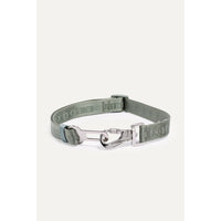 Max Bone Buckle Up Car Safety Belt for Dogs