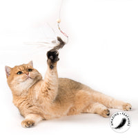Profeline - Cat Toy Tickle Tease Attachment