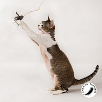 Profeline - Cat Toy Tickle Tease Attachment