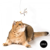 Profeline - Cat Toy Teaser ShakyWobble