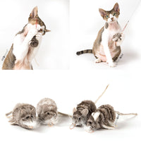 Profeline - Cat Toy Special Edition in RED - Refills