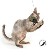 Profeline - Cat Toy Papillon Peacock Refill