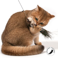 Profeline - Cat Toy Feather Paradise Refill / Anhänger