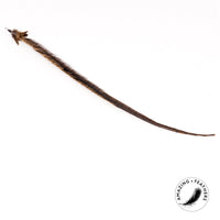Profeline - Cat Toy Feather Pheasant Longtail Refill