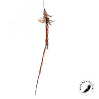 Profeline - Cat Toy Feather Pheasant Longtail Refill