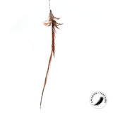 Profeline - Cat Toy Feather Pheasant Longtail Refill