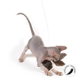 Profeline - Cat Toy Feather Papillon Pepita Refill / Anhänger