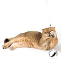 Profeline - Cat Toy SmartTwins Refill