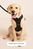 Max Bone Easy Fit Dog Harness