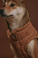 Max Bone Easy Fit Dog Jacket