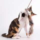 Profeline - Cat Toy Feather Teaser Boa Tail 