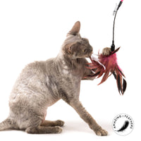 Profeline - Cat Teaser Feather Dancer