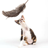 Profeline - Cat Toy Teaser Ostrich Feathers