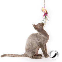 Profeline - Cat Toy Feather Papillon Brazil Refill / Anhänger