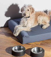 Wild One Dog Bowl