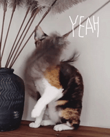 Profeline - Cat Toy Teaser Ostrich Feathers