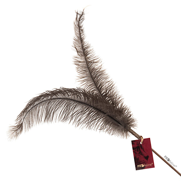 Profeline - Cat Toy Teaser Ostrich Feathers