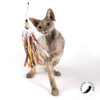 Profeline - Cat Toy RaggedRibbon Refill