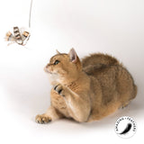 Profeline - Cat Toy Special Edition BUZZ - Attachments