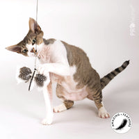 Profeline - Cat Toy Special Edition BUZZ - Attachments