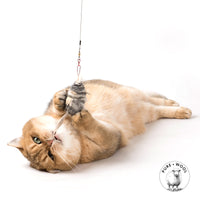 Profeline - Cat Toy Nibbles the WoolMouse Refill