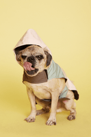 Max Bone Weather Ready Rain Parka